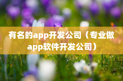 有名的app开发公司（专业做app软件开发公司）