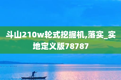 斗山210w轮式挖掘机,落实_实地定义版78787