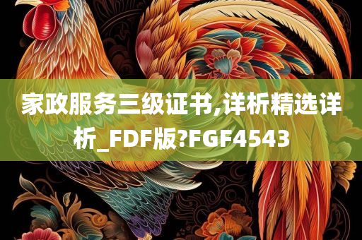 家政服务三级证书,详析精选详析_FDF版?FGF4543