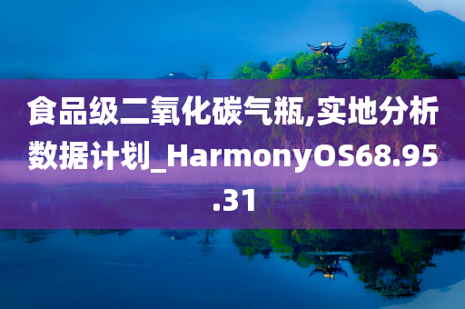 食品级二氧化碳气瓶,实地分析数据计划_HarmonyOS68.95.31