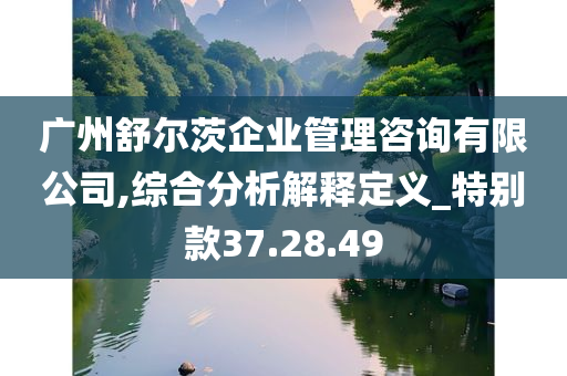 广州舒尔茨企业管理咨询有限公司,综合分析解释定义_特别款37.28.49